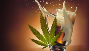 Corona Estados Unidos invierte en compañía canadiense de marihuana