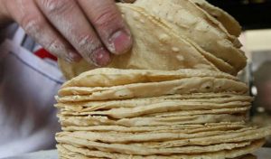SE y agricultores acusan de injustificado incremento a tortilla