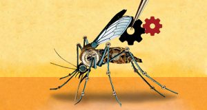 Mosquitos modificados podrían salvar a millones de la malaria