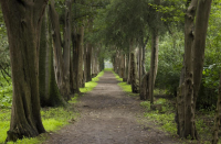 Viveros de Coyoacán, Miguel Ángel de Quevedo