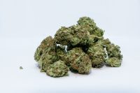 ¿Cómo cultivar, producir y consumir marihuana legalmente en México?