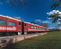 Los problemas con el Tren Maya propuesto por AMLO