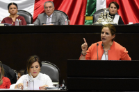 Rosario Robles, Violencia Política De Género, Martha Tagle