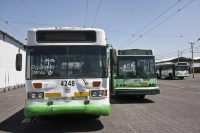 Trolebús en CDMX: obsoleto, sin unidades y sin presupuesto