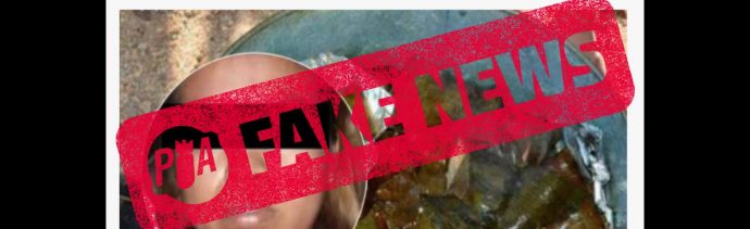 ¿Una mujer hizo 'en tamales' a su yerno en Ecatepec? Es fake