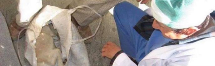 perro, hospital, puebla