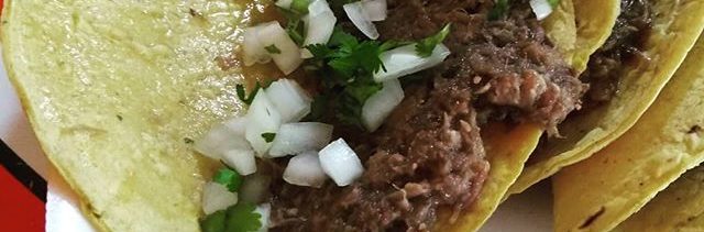 Feria del pulque 2019