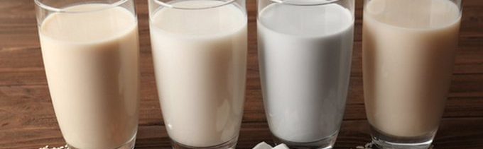 Leches Vegetales, Profeco, Proteína