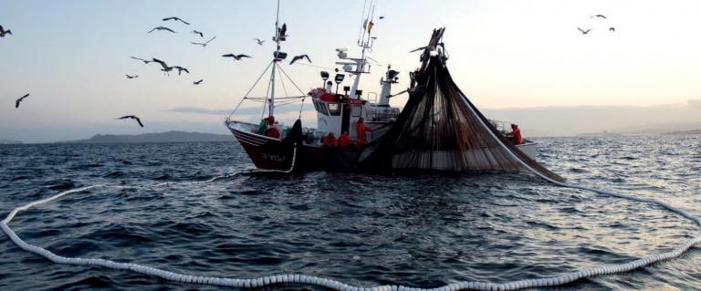 Baja California depende de la pesca