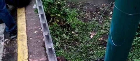 Un joven fue asesinado por cadeneros en zona rosa