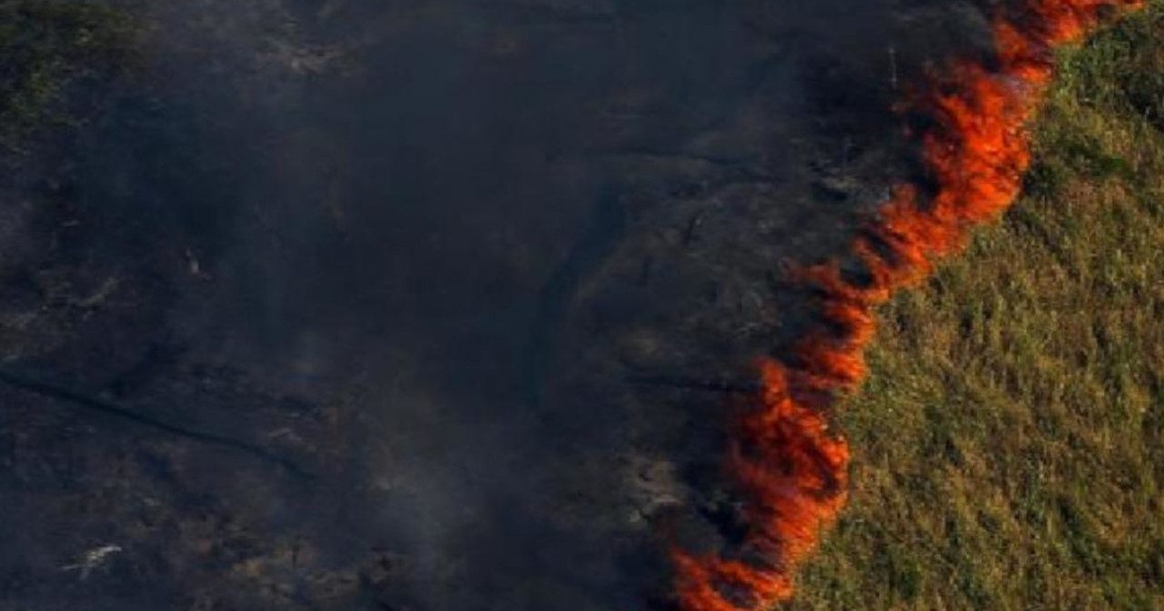 Impacto de los incendios en el Amazonas