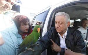 Mujer regala perico a presidente AMLO en Coahuila; lo adopta