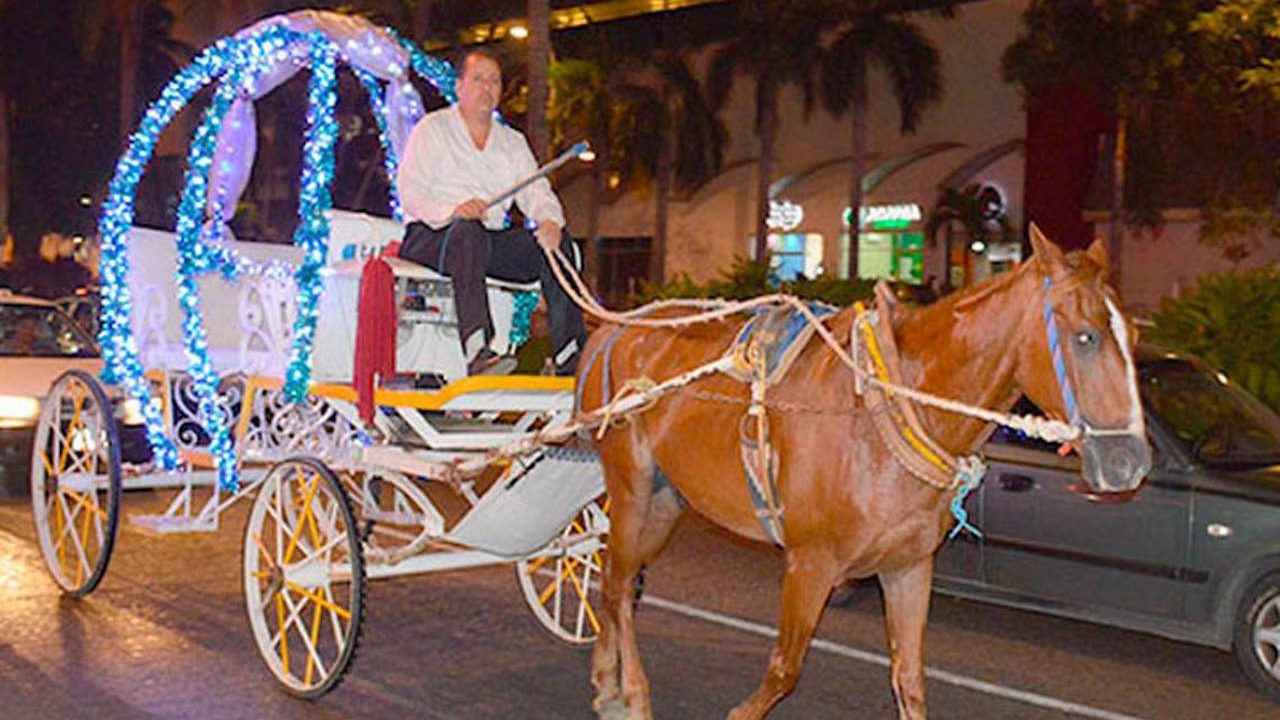 Prohiben uso de calandrias en Acapulco por segunda vez