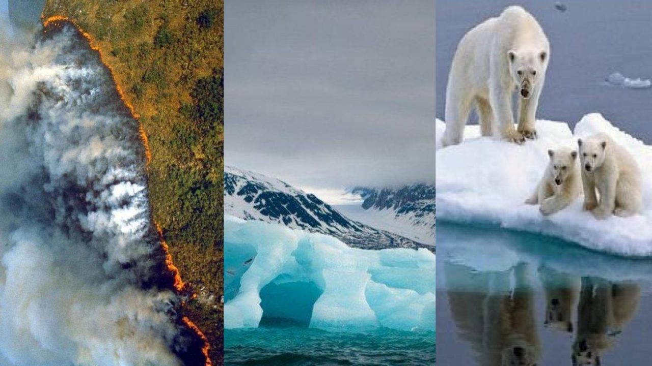 ¿Por qué hablar de cambio climático no es suficiente?