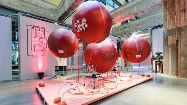 18/10/19, Útero Artificial, Bebés Prematuros, Holanda, Controversia