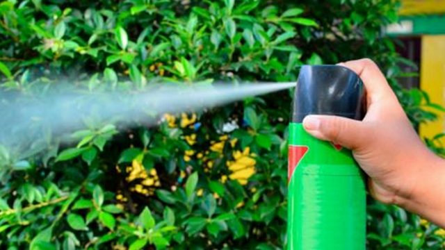 Países de Unión Europea quieren prohibir insecticidas
