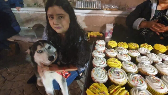 Joven vende cupcakes para pagar quimios de su perro.