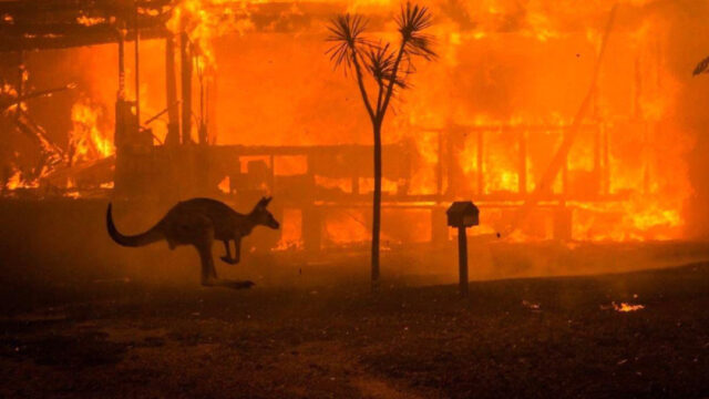 NASA: Humo de incendios en Australia recorrerá el mundo