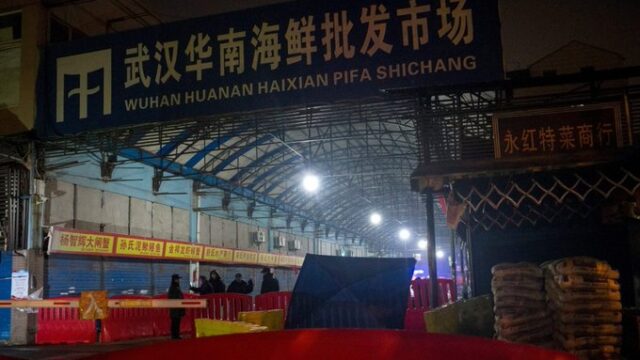 Esto es lo que vendían en el mercado donde se originó el coronavirus