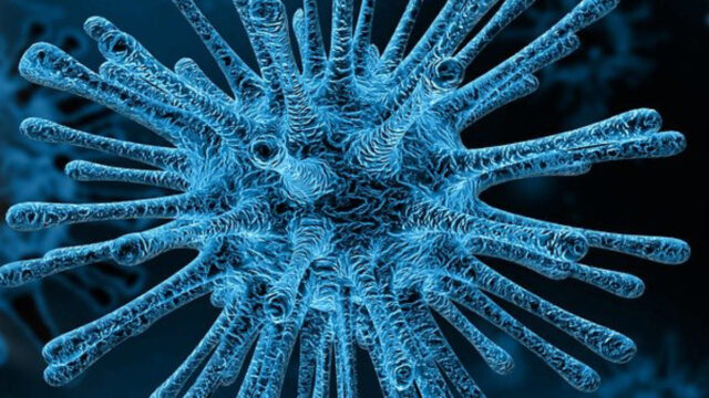 Coronavirus, Mexico, 2020, Sintomas