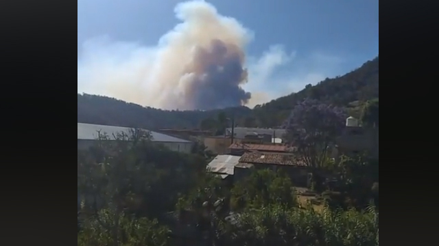 Incendio, Oaxaca, Sierra, Santa María Jaltianguis