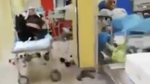 Italia, Coronavirus, Hospital, Video