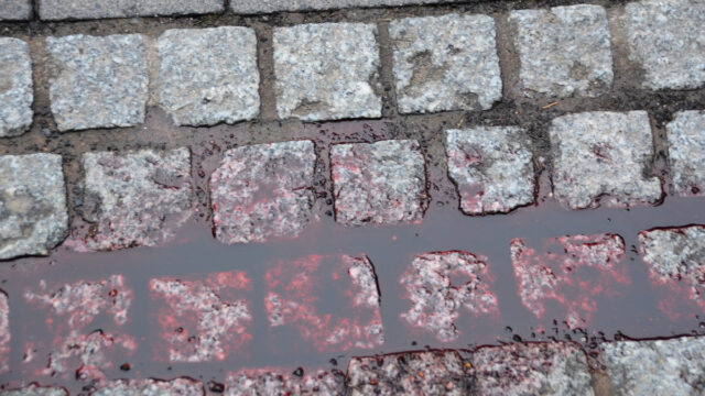 Transfeminicidio, Naomi, CDMX, Transfobia