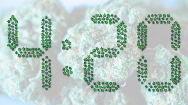 4 20, Dia Internacional De La Marihuana, Dia Internacional Del Cannabis, 20 Abril