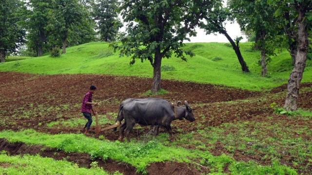 Tribus, Contagio, Coronavirus, Amazonas