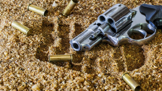 Estados Unidos, Disparo, Venta Armas, Pandemia Coronavirus