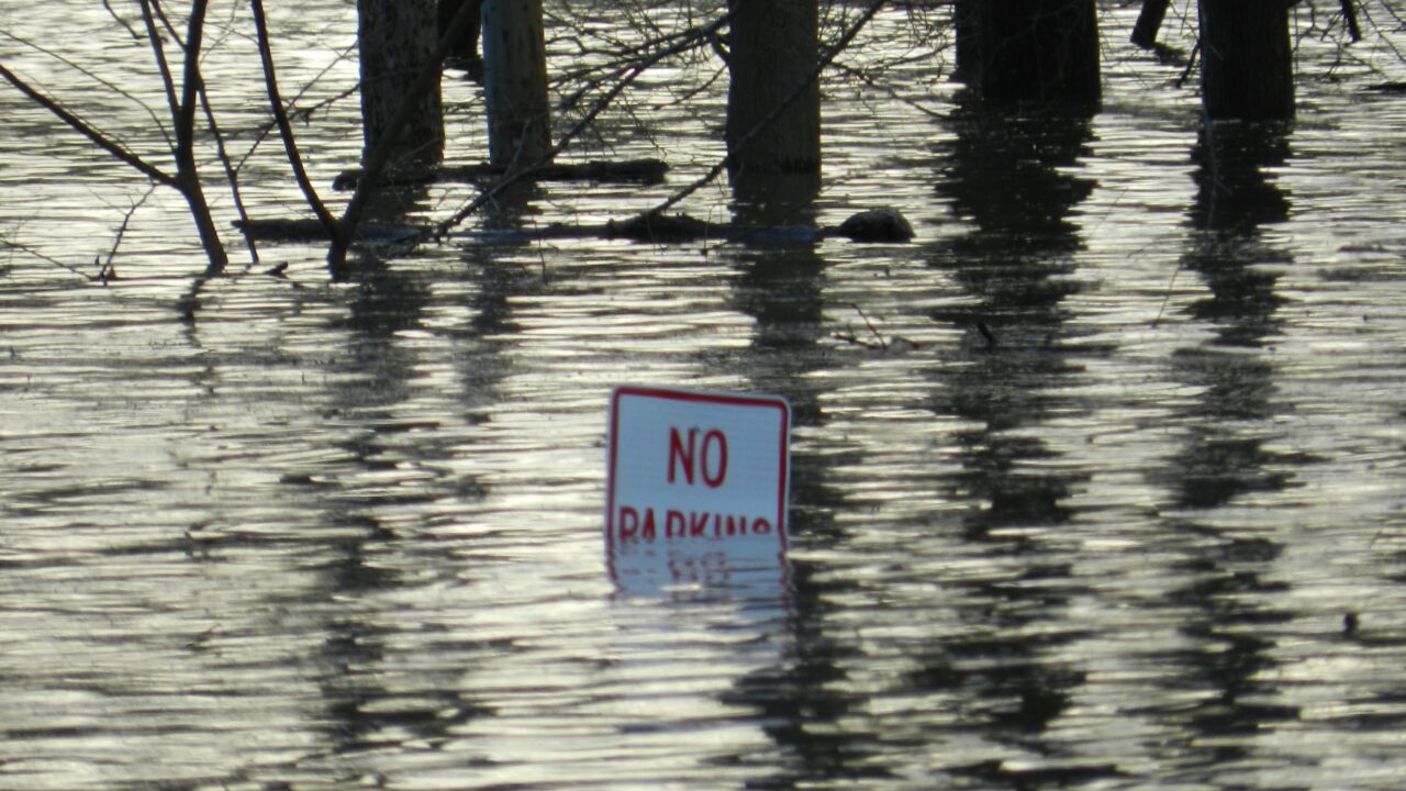 Efectos del cambio climático que se pueden observar