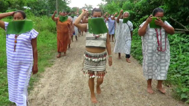 Personas Indigenas,Coronavirus, Proteccion, Artistas