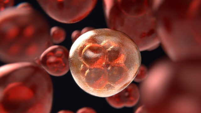 coronavirus-cancer-covid-19-dano-colateral