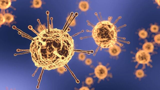 Científicos descubren anticuerpos para evitar que coronavirus entre a las células