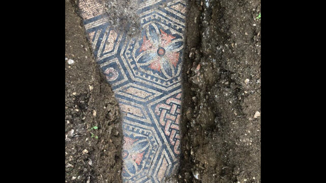 descubren-italia-mosaico-romano-vinedo