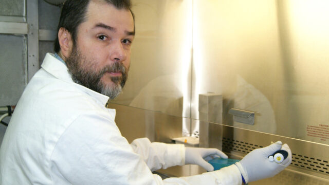 ipn-coronavirus-covid-19-dispositivo-celular