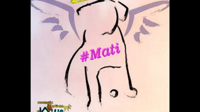 Sentenciaron a un año de cárcel a Martín "N" por la muerte de Mati, una perrita que murió tras ser violada en Nezahualcóyotl