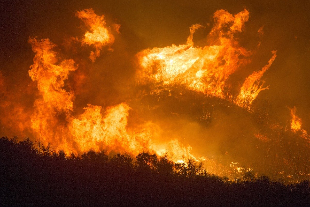 El termómetro está alcanzado temperaturas nunca antes vistas, mientras los incendios en California devoran hectáreas de bosques