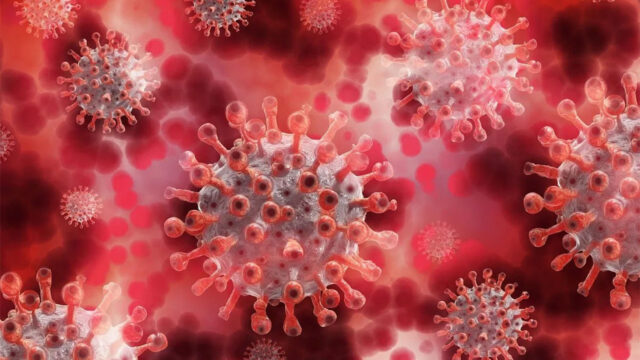 Covid 19 arte sobre cómo se ve el coronavirus