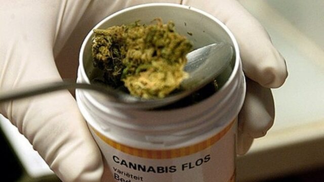ONU reconoce oficialmente propiedades medicinales cannabis