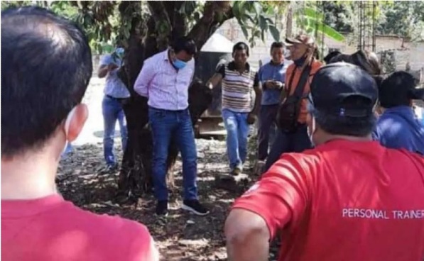 Alcalde Frontera Comala Chiapas amarrado a un árbol