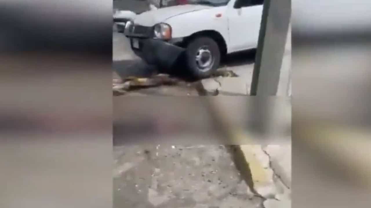 Video Jalisco atropella ladrones