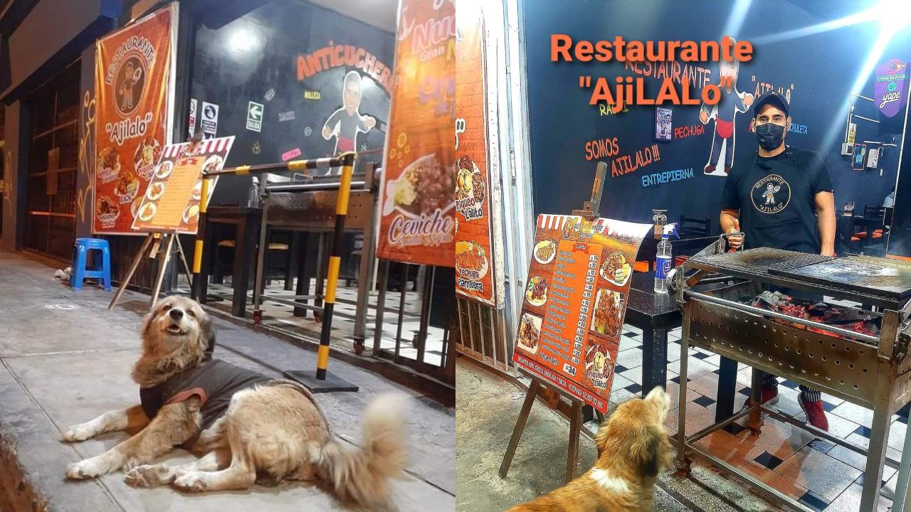 Dueño de taquería organiza banquete para perritos que viven en la calle