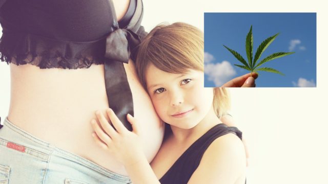 El uso de cannabis durante el embarazo está relacionado con niños que nacen con agresión y ansiedad, encuentra un estudio