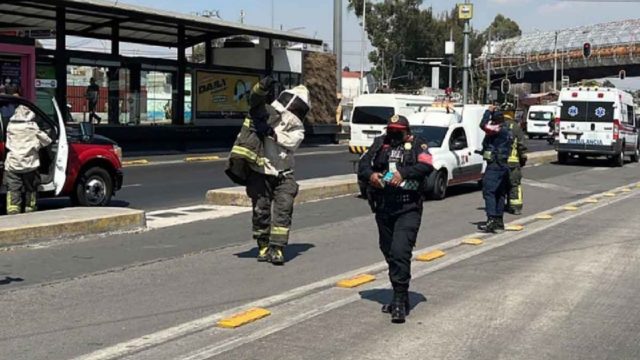 Ataque de abejas cerca del Metro y Metrobús San Lázaro deja 3 lesionados