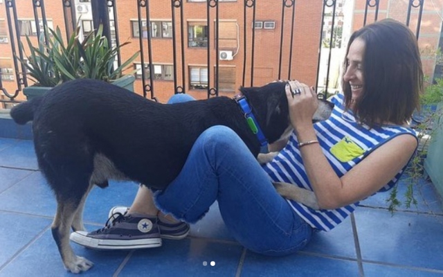 Suave familia: Adoptan a perrito que buscaba nuevo hogar con un CV