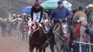 11 muertos deja carrera de caballos clandestina en Chihuahua