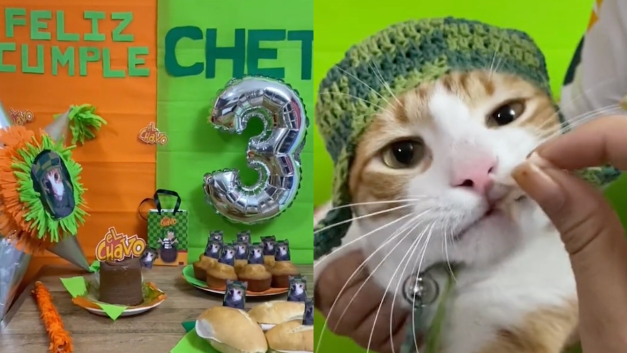 "El michi del 8": Hacen fiesta de cumpleaños a gatito con temática del "Chavo"