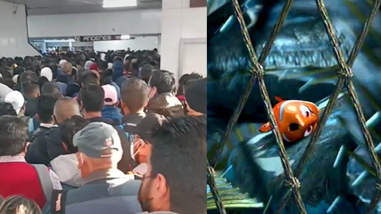 Metro CDMX Estación Pantitlán Buscando a Nemo Nadaremos Canción