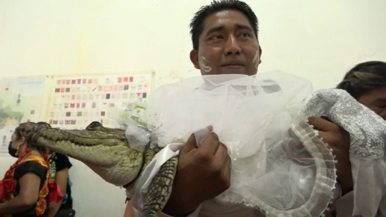 Alcalde en Oaxaca se casa con un lagarto; hasta le pusieron velo y vestido